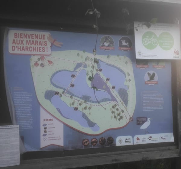 Aux frontières du marais d'Harchies - Saint-Aybert - 1