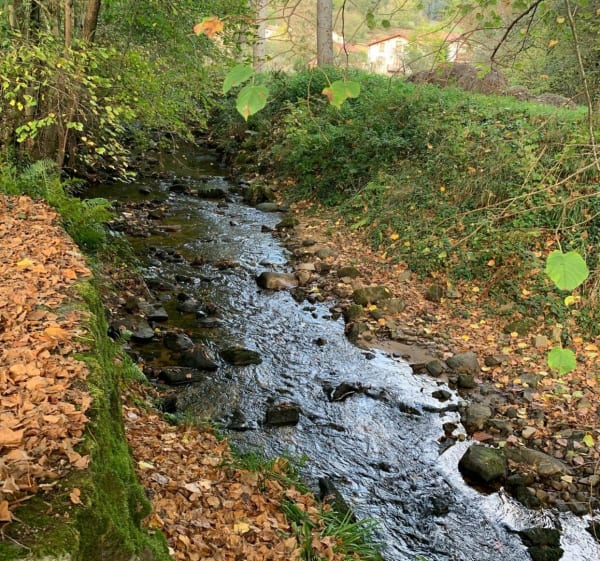 Cascade de La Chassagne  depuis Sauxillanges - Sauxillanges - 1