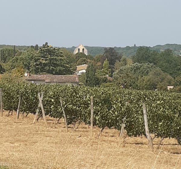 Petite boucle de Haux - Haux - 1