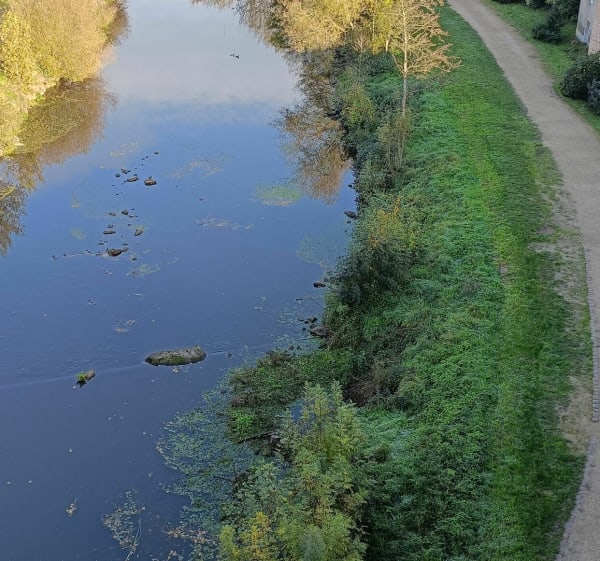 Rives et patrimoine - Parthenay - 1