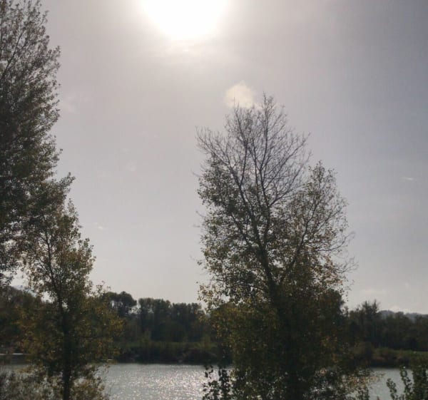 Ecosite au Parc Grangeon à Livron - Eurre - 1