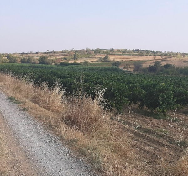 Balade sur le canal du midi de Sallèles d'Aude à Ginestas - Sallèles-d'Aude - 1