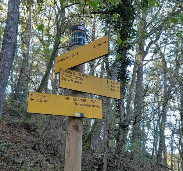 Balade, Archelange une diversité de chemins - Archelange - 1