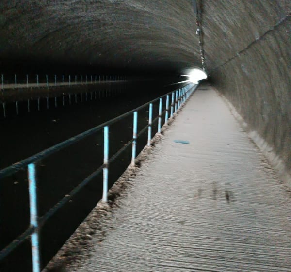 Le long du canal de la Marne à la Saône - Condes - 1