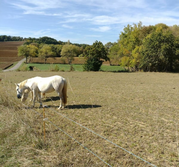 Sentier des coteaux en Cestayrols - Cestayrols - 1