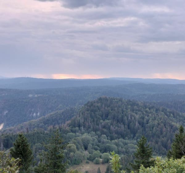 Chamoise-Les monts d'Ain - Saint-Martin-du-Fresne - 1