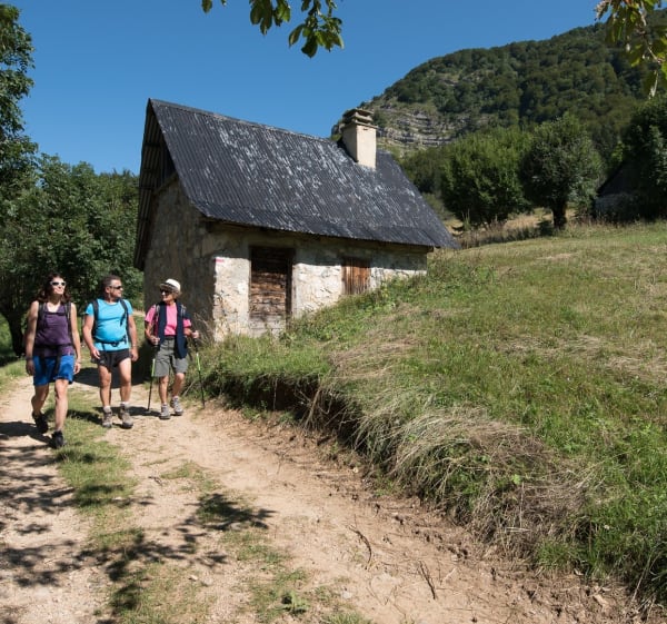 Pointe de la Gorgeat par les Crêtes de la Drière - Chapareillan - 1