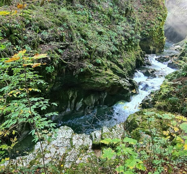 Cascade du Bief de la Ruine, par les Gorges de Malvaux - Les Planches-en-Montagne - 1
