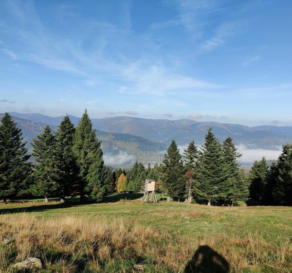Le Steinberg et le chalet Bockwasen - Sondernach - 1
