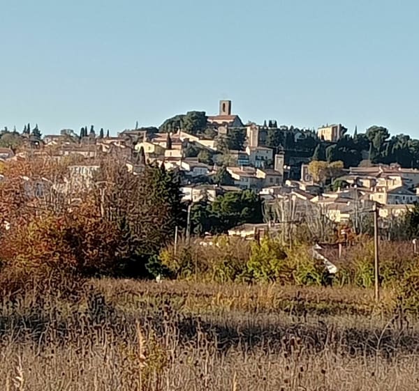 De Velleron à Châteauneuf de Gadagne en boucle - Velleron - 1