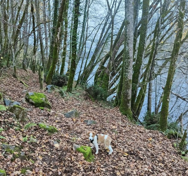 Promenade sur les hauteurs de Beaulieu - Beaulieu-sur-Dordogne - 1