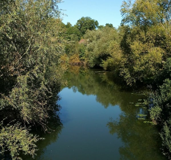 Balade le long de la Seille - Montigny-lès-Metz - 1