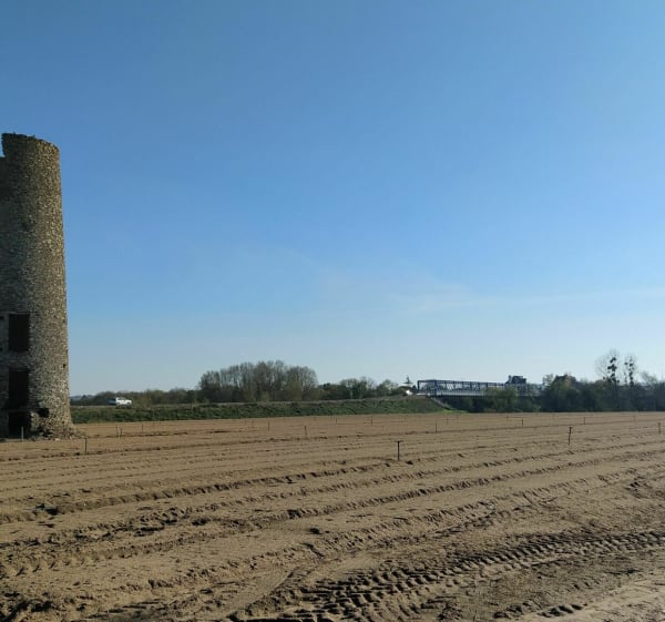Au bout des ponts de Mauves - Mauves-sur-Loire - 1