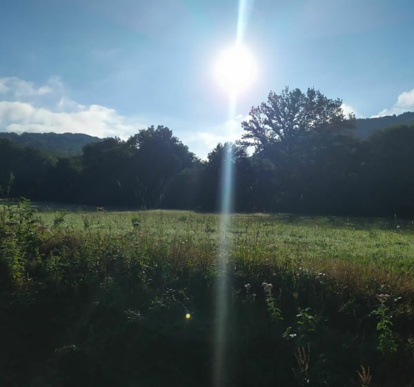 Balade entre le Lac des Bariousses et le plateau - Saint-Hilaire-les-Courbes - 1