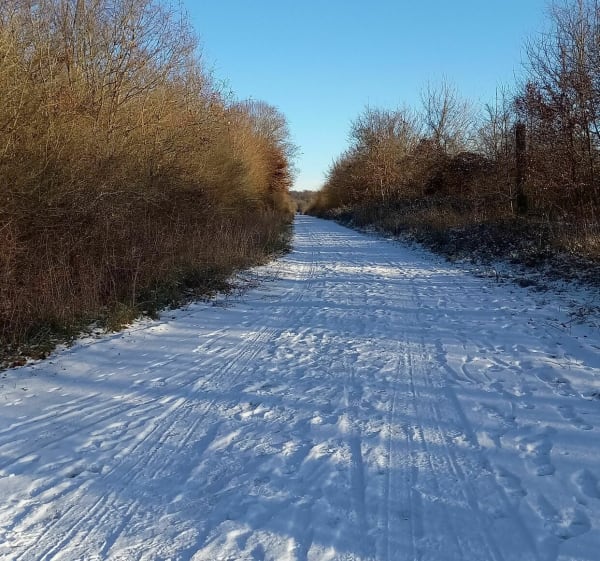 Circuit forêt Clairlieu - Villers-lès-Nancy - 1