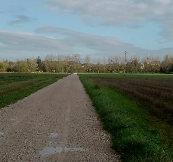 Rando dans la plaine de Cosges - Cosges - 1