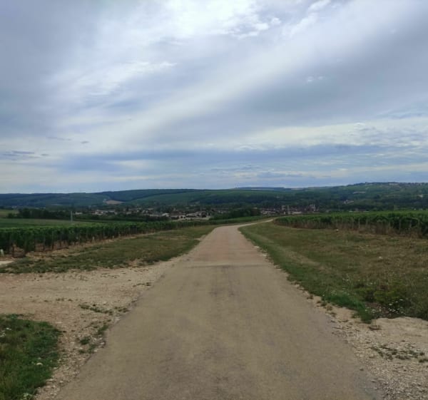 Promenade Varennes Maligny Ligny - Varennes - 1