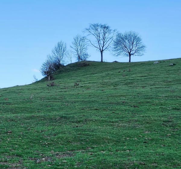 Belle balade vallée de Batsurguère - Ségus - 1