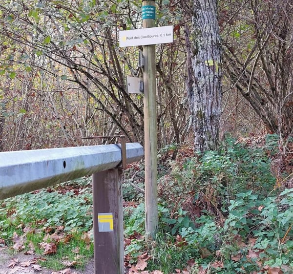 Petit tour de Seillon à VTT - Péronnas - 1