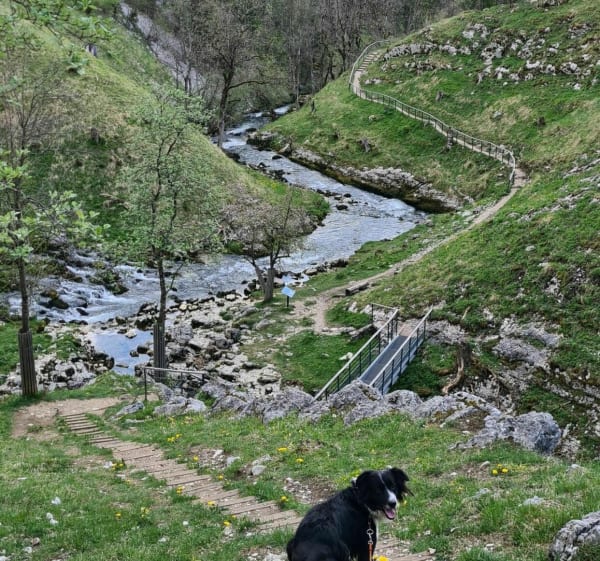 La Source de la Saine, Belvédère de la roche fendue - Foncine-le-Haut - 1