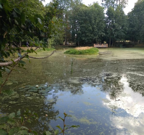 Landgoed Volkrange met uitzicht op een minivijver - Thionville - 1