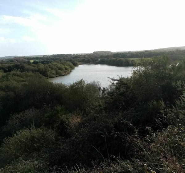 Autour du lac de Bodonou - Plouzané - 1