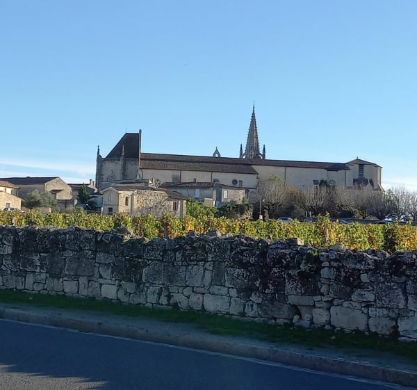 Boucle des grands crus - Saint-Émilion - 1