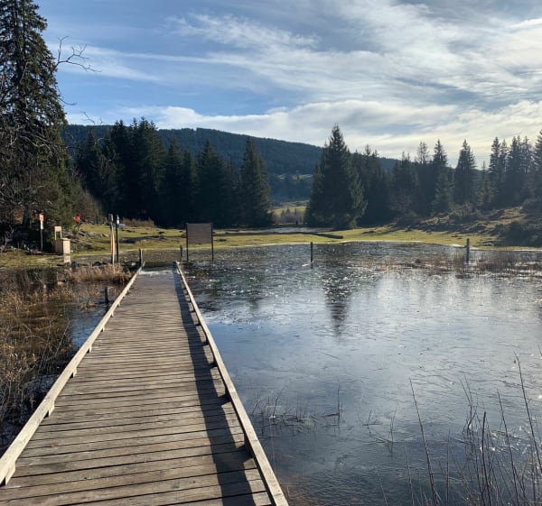 Jusqu’au lac des Rousses - Les Rousses - 1