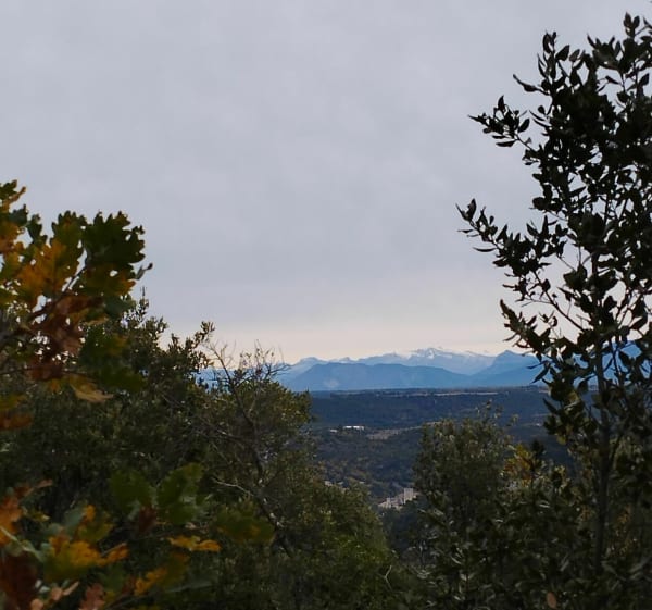 Des Rouvières au balcon du Verdon - Saint-Julien - 1