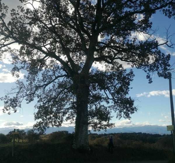 Boucle Lucq de Béarn - Lucq-de-Béarn - 1