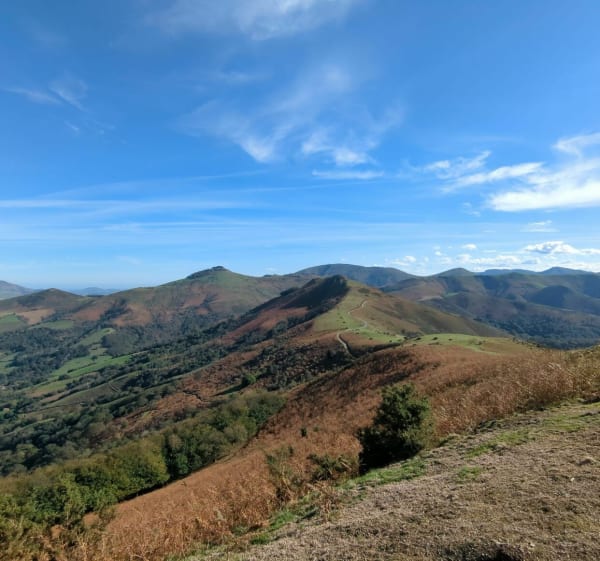 Aïnhoa, chapelle de l'aubépine, Errebi, col des Trois Croix - Aïnhoa - 1