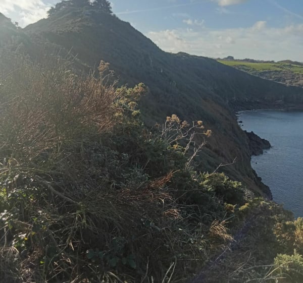 La Pointe de la Tour - Plouha - 1