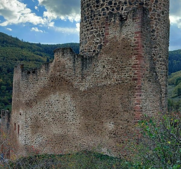 Château de Kaysersberg - Kaysersberg - 1