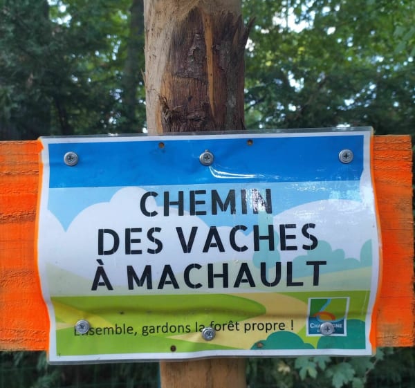 Balade forestière et sentiers ruraux - Saint-Mammès - 1