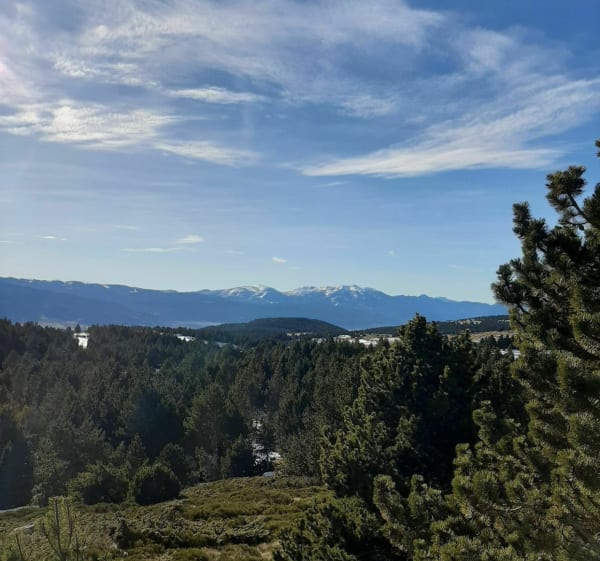 Roc de la Calme à Font-Romeu - Font-Romeu-Odeillo-Via - 1