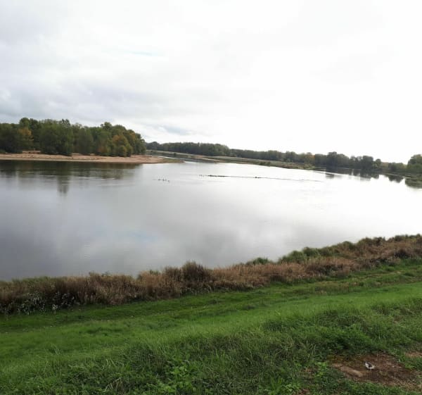 Balade au bord de la Loire - Sandillon - 1