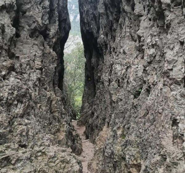 Du Mont Liausson au cirque de Mourèze - Liausson - 1