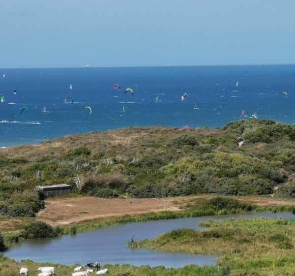 Wissant De Phartz en Aval Dune Trail - Wissant - 1
