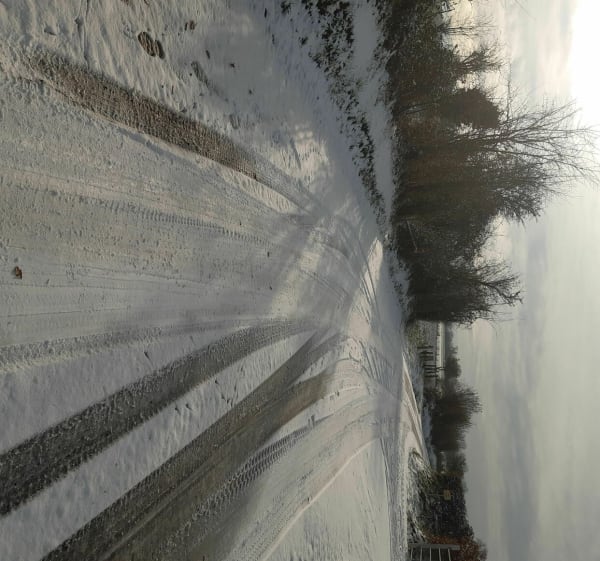 Dans la neige__Rejeté - Aurseulles - 1
