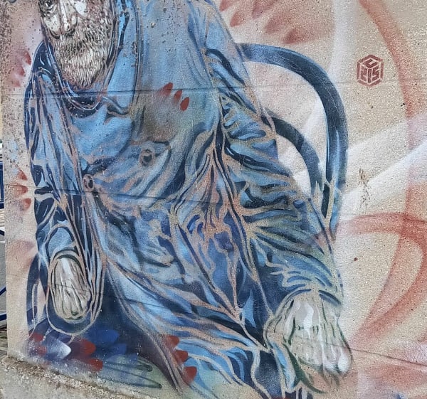Sur les pas de C215 à la recherche de quelques portraits. - Soissons - 1