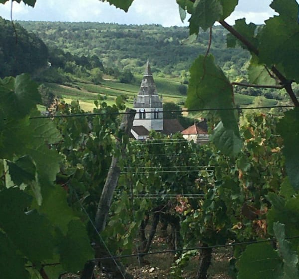 Randonnée à Saint-Romain - Saint-Romain - 1