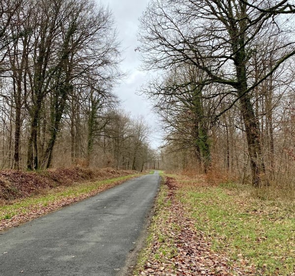 Balade à vélo alliant champs, forêt et étangs - Aubréville - 1