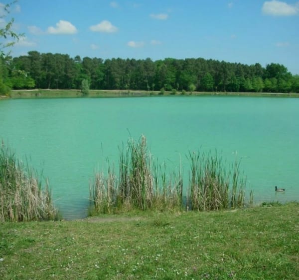 VTT Boucle lac bleu ,vert et bois. - Léognan - 1