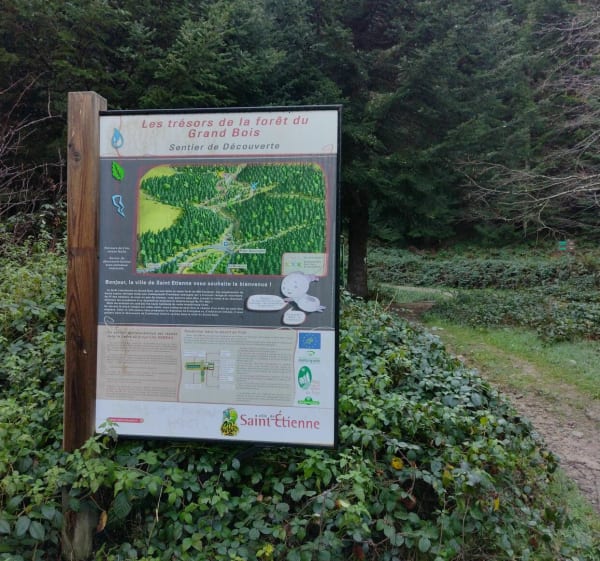 Du Bernay au Bessat par les chemins et pistes forestières - Saint-Étienne - 1