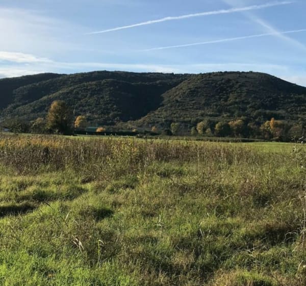 Au bord du petit Rhône Via Rhôna et vergers - La Voulte-sur-Rhône - 1
