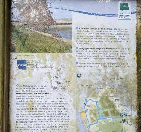 Vers l'écluse et plages des Granges à travers la forêt - Les Sables-d'Olonne - 1