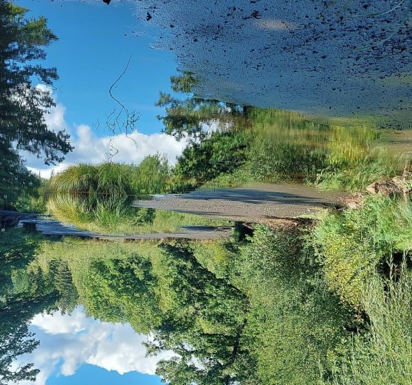 Zeelus in het hart van het Plateau van de Duizend Vijvers - Mélisey - 1