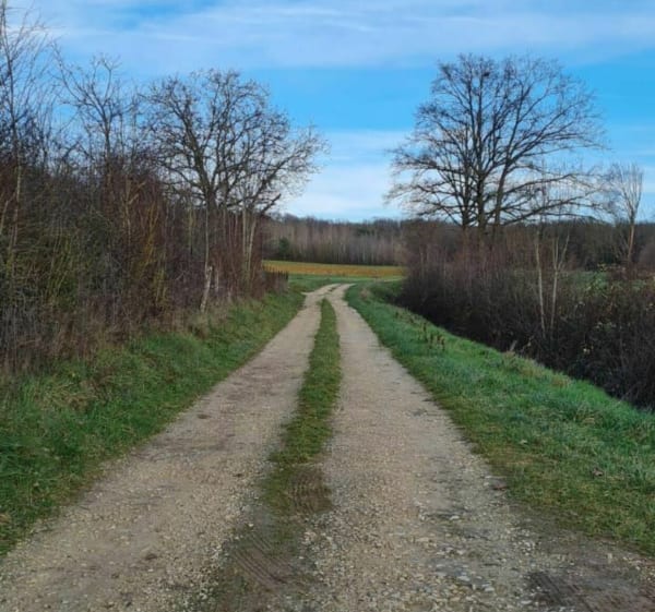 Promenade entre Wassy et Attencourt - Wassy - 1