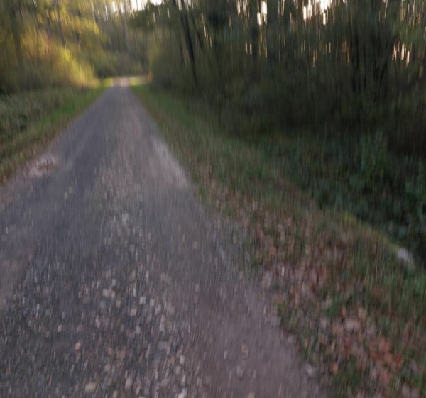 Promenade au Bois du Four retour par le Bois des Rappes - Gerbéviller - 1