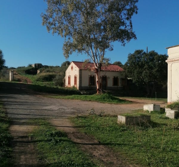 Campo dell oro par le Lazaret - Ajaccio - 1